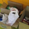 III TORNEO SOLIDARIO DE NAVIDAD